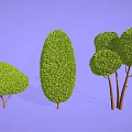 Cartoon Scenery With Various Shaped Green Shrubs Against Purple Background And Brown Tree Trunks