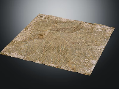 Garden Landscape Topographic Model with Detailed Natural Texture and Terrain Patterns 3d model