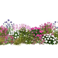 Vibrant Flower Garden With Purple Pink White Blooms And Green Foliage