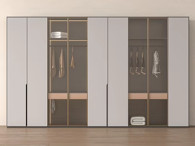 Modern Wardrobe Interior With Glass Doors Metal Frame And Hanging Rails 3d model