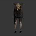 Modern Moose Reindeer Deer Sculpture 3d model