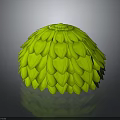 Fresh Green Leaf Like Hemispherical Food With Natural Organic Surface Structure