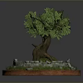 Potted Tree With Exposed Roots Green Foliage Grass Stone Surround And Circular Red Border