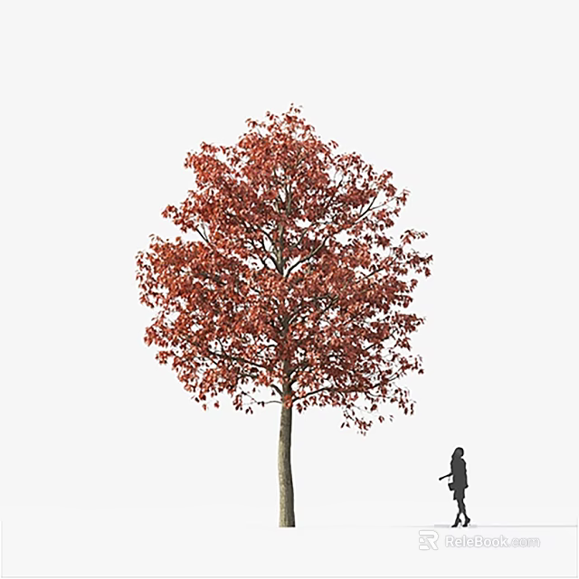 Tall Tree with Vibrant Red Leaves and Person Silhouette Standing Nearby 3d model 