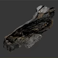 Unique Wood Stone With Organic Detailed Natural Texture And Raw Material Look