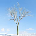 Bare Branch Arbor Standing Against Clear Blue Sky With White Clouds 3d model
