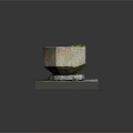 Small Green Plants Growing in Stone Hexagonal Planter on Square Mossy Stone Platform 3d model