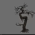 Twisted Leafless Tree With Gnarled Branches Exposed Roots And Shadow On Gray Background