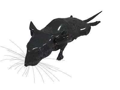 Realistic 3D Black Rat Model With Long Whiskers And Shiny Body 3d model