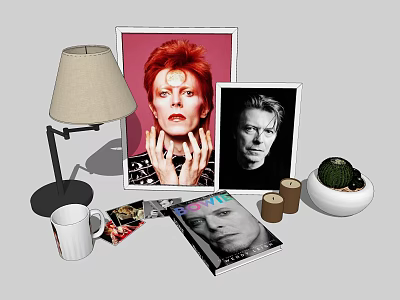 Decorative Ornament Set with Table Lamp Framed Portraits Books Mug Candles and Small Succulent 3d model