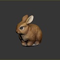 rabbit hare rabbit white rabbit 3d model