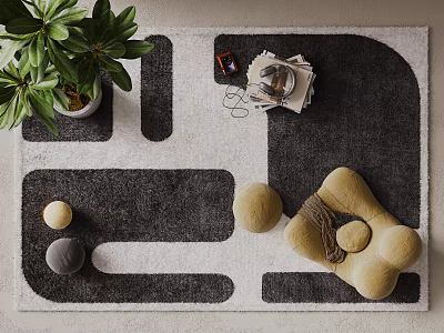 Square Rug with Black and White Geometric Pattern Green Plant Silver Teapot Book Yellow Decorations 3d model