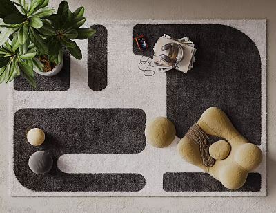 Square Rug with Black and White Geometric Pattern Green Plant Silver Teapot Book Yellow Decorations 3d model