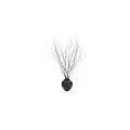 Minimalist Dark Ceramic Vase With Slender Curved Dried Branches For Home Decoration