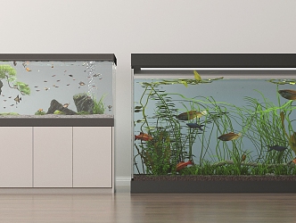 Modern fish tank aquarium ornamental fish 3d model