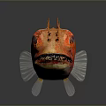 Orange Aquatic Fish with Red Spots Large Eyes Whiskers Slender Body Reflection on Dark Background