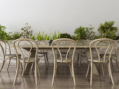 Modern Minimalist Dining Table Set with Curved Back Wooden Chairs and Green Plants 3d model
