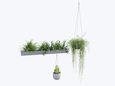 Decorative Potted Plants on Hanging Shelf with Hanging Green Foliage and Small Succulents 3d model