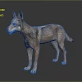 Realistic Wolf 3D Model With Brown Gray Fur Standing On Dark Background 3d model