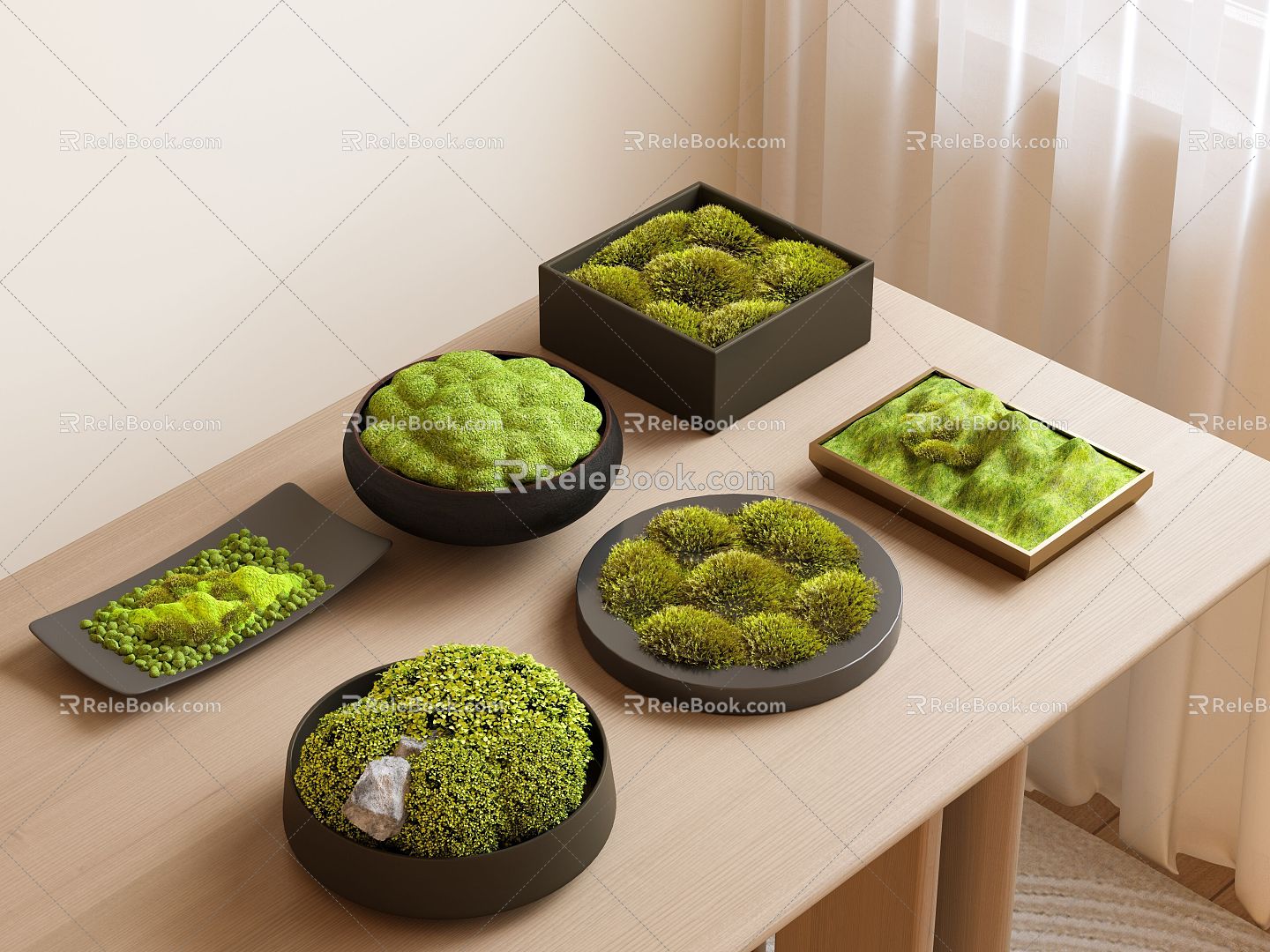 moss green plant potted plant decorative tabletop potted moss 3d model