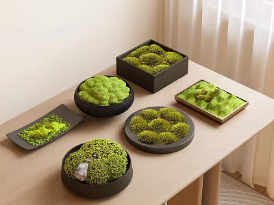 Moss Bonsai Potted Plants In Various Shaped Containers Displayed On Wooden Table 3d model