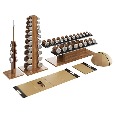 Complete Sports Equipment With Wooden Dumbbell Racks Dumbbells Yoga Mat And Balance Trainer 3d model