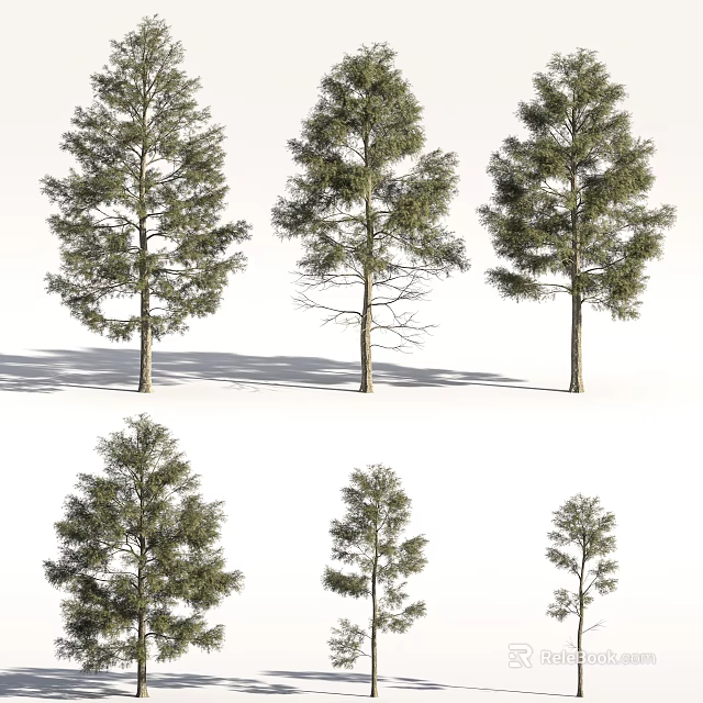 Arbor Trees With Various Sizes And Green Foliage Showing Natural Shadows 3d model 