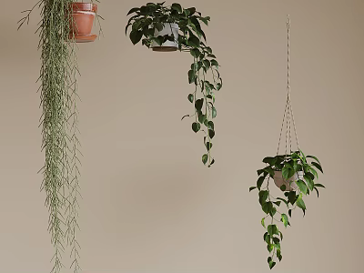 Indoor Hanging Plants with Lush Trailing Leaves and Decorative Ceramic Planters 3d model