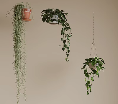 Indoor Hanging Plants with Lush Trailing Leaves and Decorative Ceramic Planters 3d model