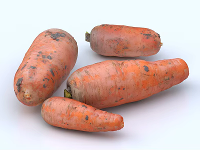 Freshly Harvested Orange Carrots With Natural Dirt And Whole Shape 3d model