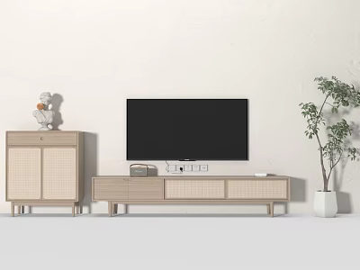 Natural Wooden TV Stand with Rattan Details TV and Decorative Plants in Minimal Room 3d model