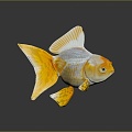 Golden Fish Fish Goldfish 3d model