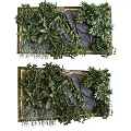 Lush Vibrant Living Plant Wall With Diverse Greenery And Natural Stones
