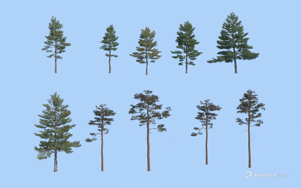 Various Arbor Trees With Diverse Heights And Foliage On Blue Background 3d model
