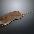 Brown Mouse Lying On Dark Surface With Long Tail Visible Ears And Eyes
