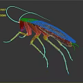 3D Rendered Red Brown Cockroach With Long Antennae And Legs On Grey Surface