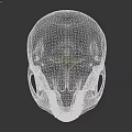 Detailed Realistic Skull 3D Model Design For Game Movie Character Render 3d model