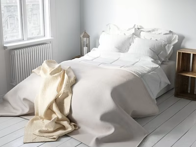 Bright Room Home Essentials With Beige White Bedding Wooden Shelf Lantern And Radiator 3d model