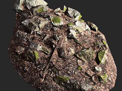Rural Landscape Featuring Moss Covered Rocks Broken Stones And Natural Earthy Textures 3d model