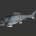 Modern shark cartoon shark great white shark whale shark 3d model