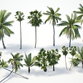 Modern Palm Tree Coconut Tree Cyric Tree Plant Tree Palm Tree Coconut Tree Cyric Tree 3d model