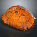 Reptile Turtle Shell Featuring Orange Brown Patterned Texture on Dark Background