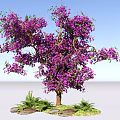 Vibrant Purple Flowering Shrub With Lush Green Leaves And Grass Around Trunk