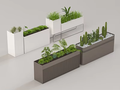 Modern Rectangular Ribbed Planters In White And Gray With Green Plants And Cacti 3d model