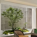 Modern Chinese Lounge Interior With Circular Cabinet And Green Plants