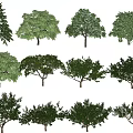 The Modern Tree 3d model