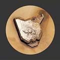 Brown And White Fossil Specimen With Layered Structure On Wooden Plate