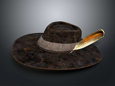 Vintage Rustic Hat With Feather Decoration And Leather Band Design 3d model