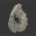 Natural Wood Stone Root Shaped Sculpture With Textured Surface And Organic Design