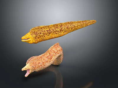 Yellow Spotted Elongated Marine Animal With Open Mouth And Curved Orange Companion 3d model